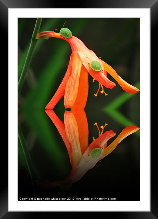 Follow the leader Framed Mounted Print by michelle whitebrook