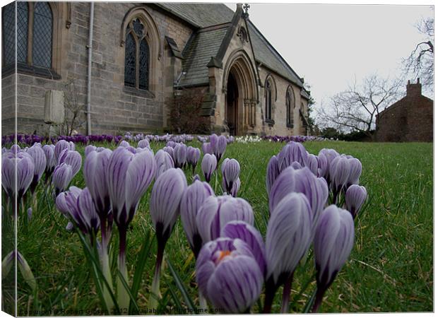 Church of Crocus Canvas Print by Robert Gipson