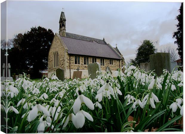 Church in snowdrops Canvas Print by Robert Gipson