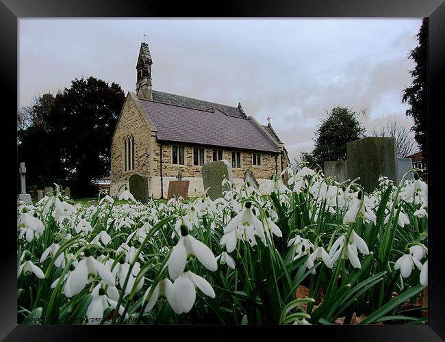 Church in snowdrops Framed Print by Robert Gipson
