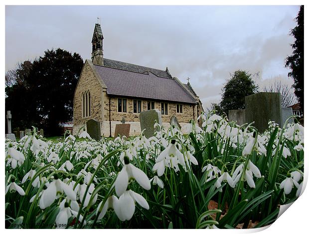 Church in snowdrops Print by Robert Gipson