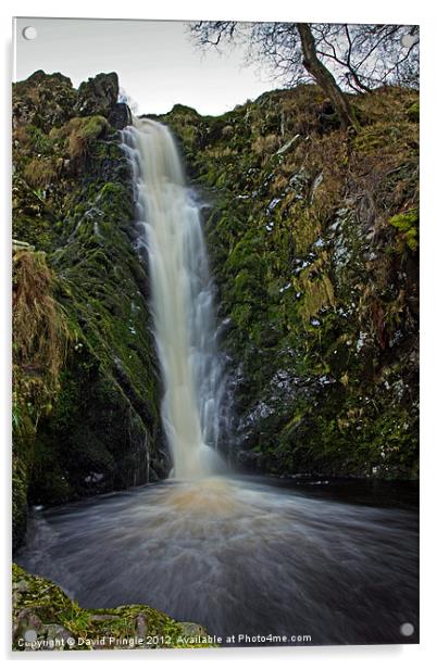 Linhope Spout Waterfall Acrylic by David Pringle