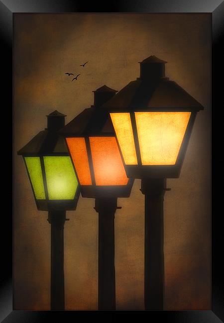 THREE LAMP LIGHTS Framed Print by Tom York