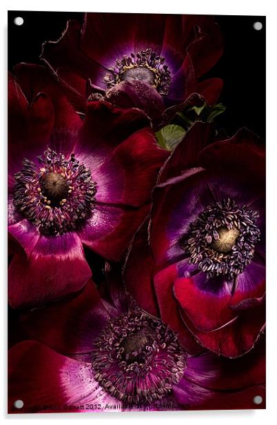 Anemones Acrylic by Ann Garrett