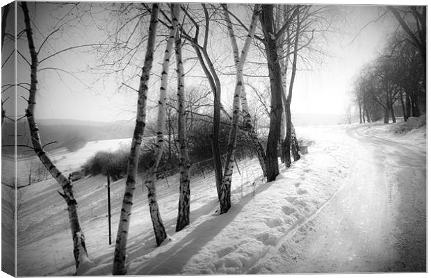 winter wonderland Canvas Print by Dorit Fuhg