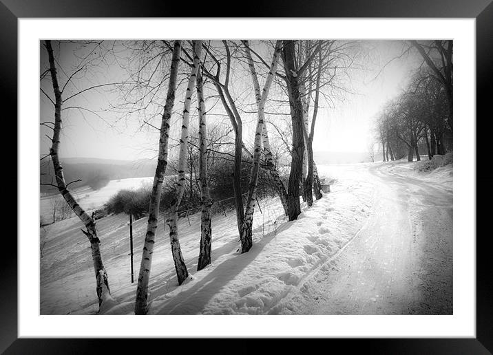 winter wonderland Framed Mounted Print by Dorit Fuhg