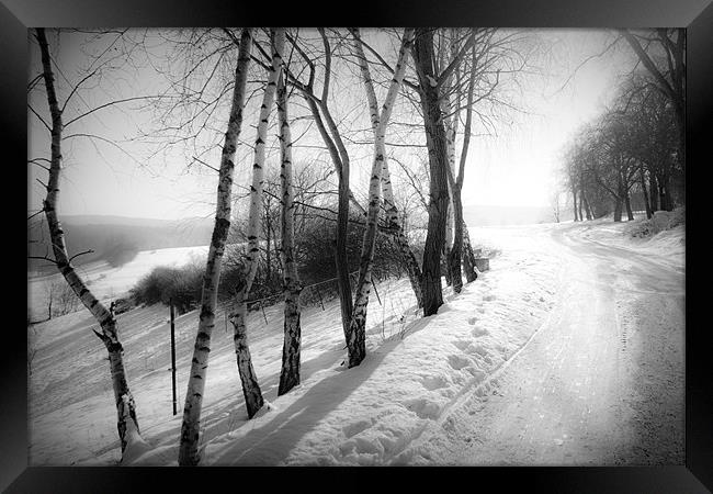 winter wonderland Framed Print by Dorit Fuhg