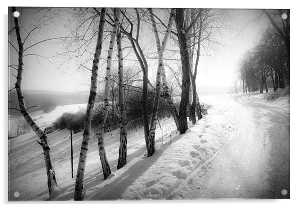 winter wonderland Acrylic by Dorit Fuhg