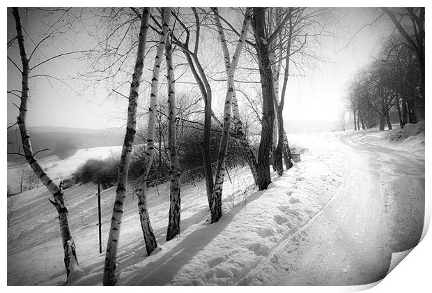 winter wonderland Print by Dorit Fuhg