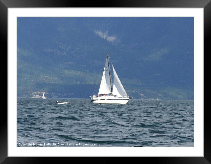 Sail Boat on Flathead Lake Framed Mounted Print by Larry Stolle