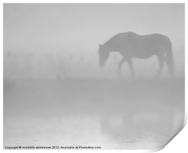 Through the mist Print by michelle whitebrook
