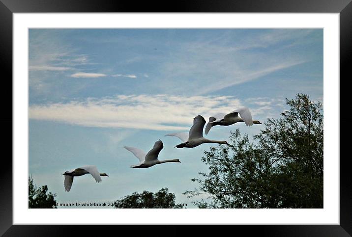 Fly fly away Framed Mounted Print by michelle whitebrook