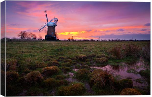 Marsh view of Horsey Mill Canvas Print by Stephen Mole