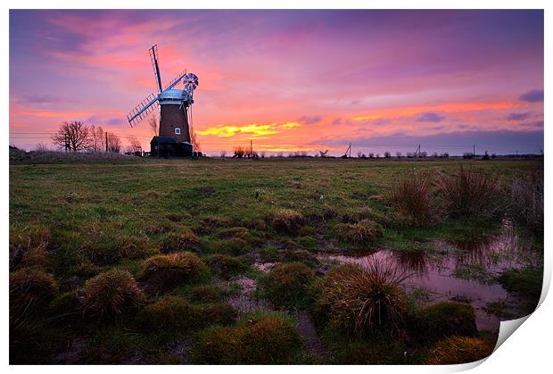 Marsh view of Horsey Mill Print by Stephen Mole