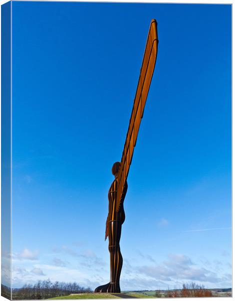 Angel of the North Canvas Print by Steve Wilkinson