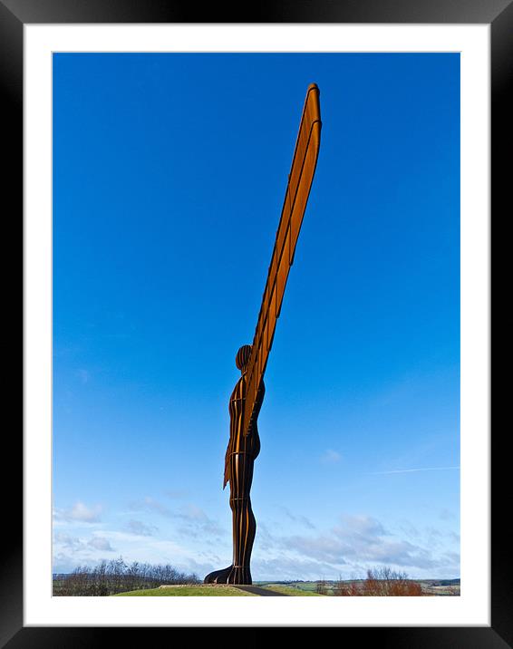 Angel of the North Framed Mounted Print by Steve Wilkinson
