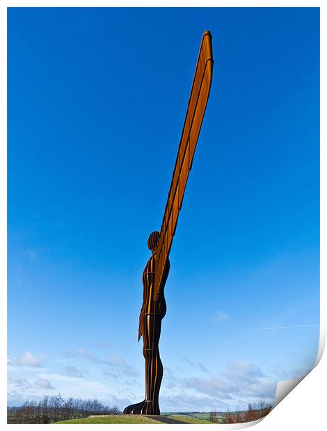 Angel of the North Print by Steve Wilkinson