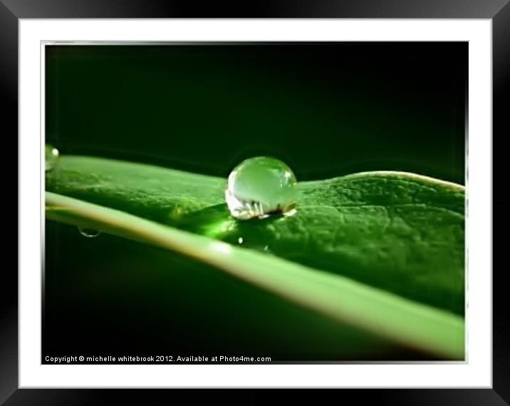 Flower in a raindrop Framed Mounted Print by michelle whitebrook
