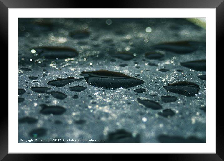 Water Drops Framed Mounted Print by Liam Ellis