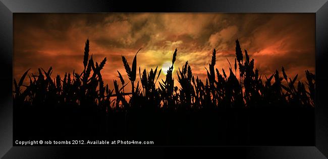 SUNSET FIELDS Framed Print by Rob Toombs