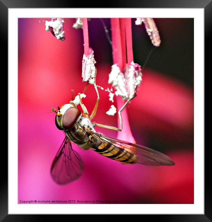 Hanging around again Framed Mounted Print by michelle whitebrook