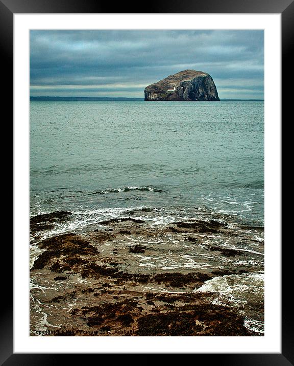 Bass Rock Framed Mounted Print by Keith Thorburn EFIAP/b