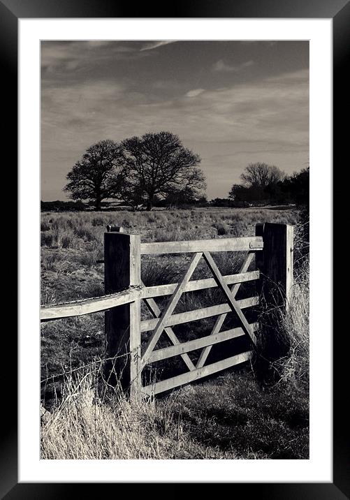 The Gate Framed Mounted Print by Darren Burroughs