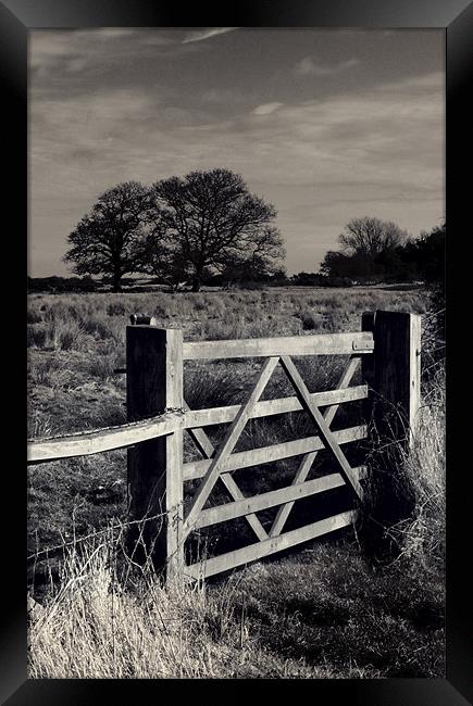 The Gate Framed Print by Darren Burroughs