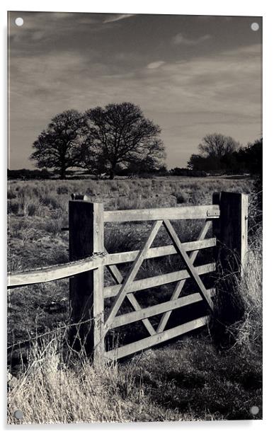 The Gate Acrylic by Darren Burroughs