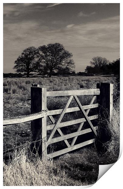 The Gate Print by Darren Burroughs