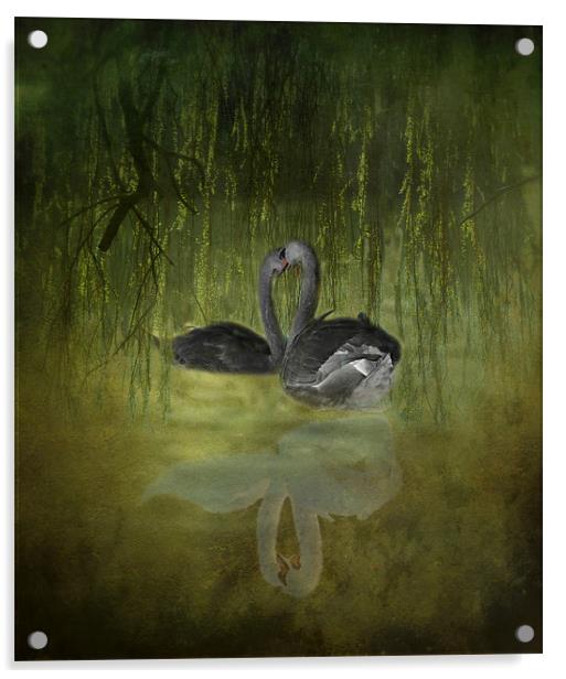Swan Fantasy Acrylic by Karen Martin