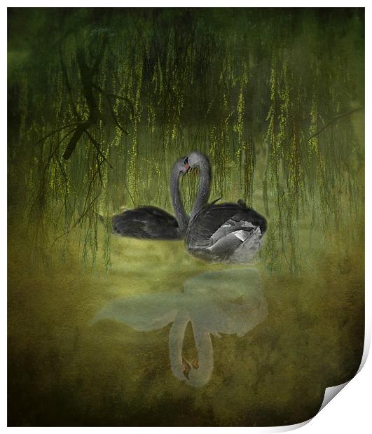 Swan Fantasy Print by Karen Martin