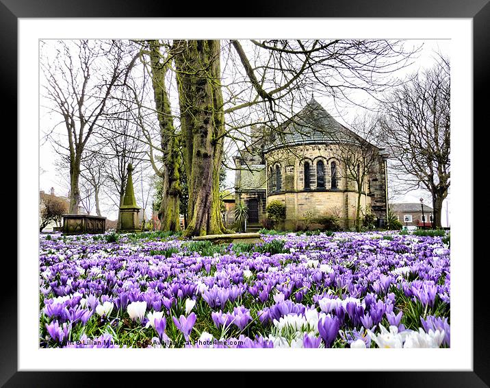 St Chads Church  Poulton-le-Fylde Framed Mounted Print by Lilian Marshall
