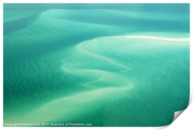 Coral Sea Barrier Reef Print by Mandy Rice