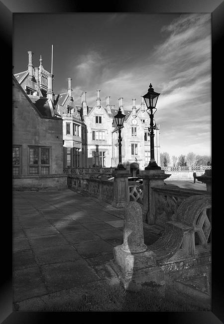 Brownlow in Black and White Framed Print by David McFarland