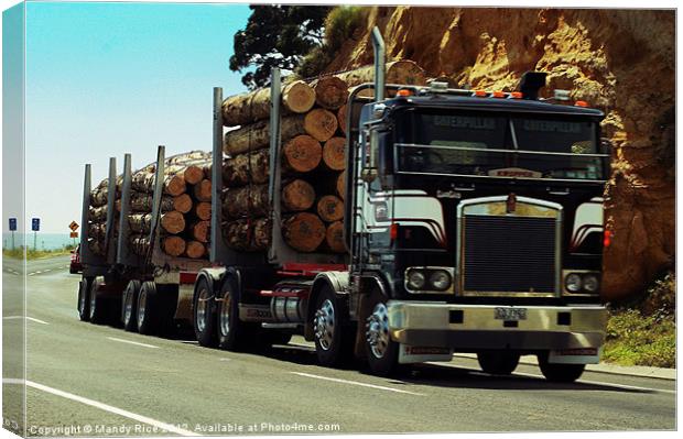 Logger Truck NZ Canvas Print by Mandy Rice