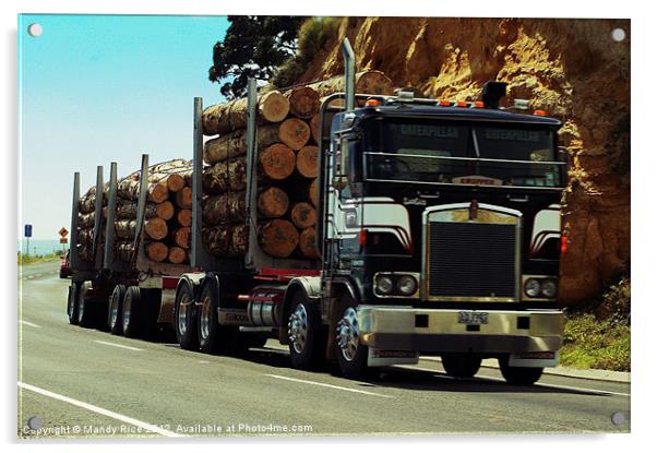 Logger Truck NZ Acrylic by Mandy Rice