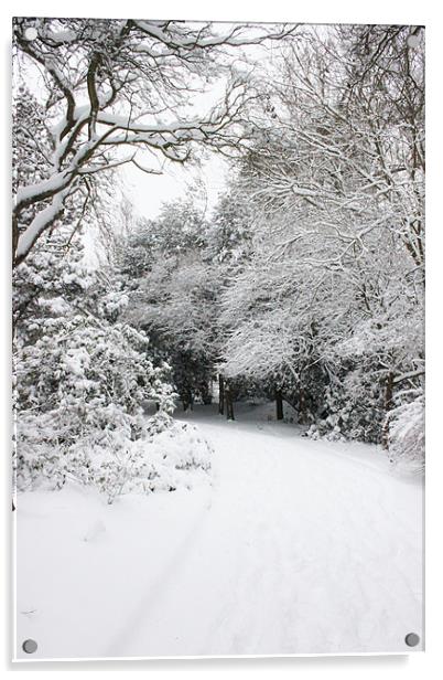 Snowy day in Suffolk Acrylic by Emma Finbow