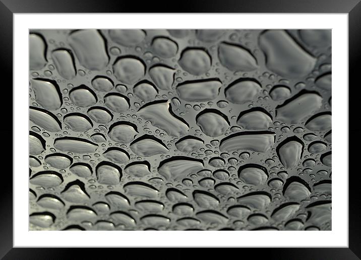 rain drops Framed Mounted Print by mark coates