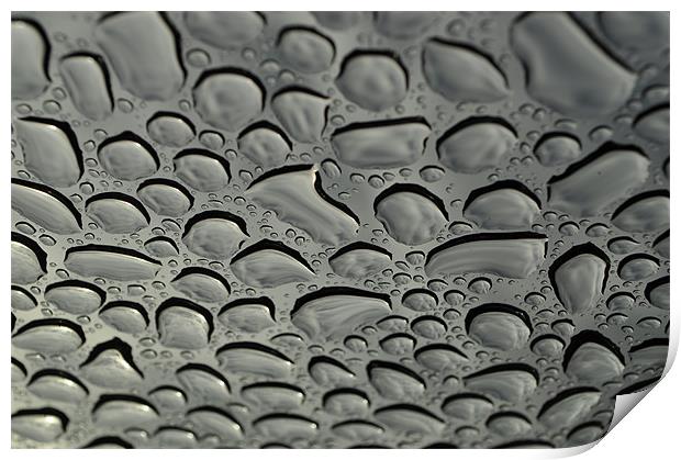 rain drops Print by mark coates
