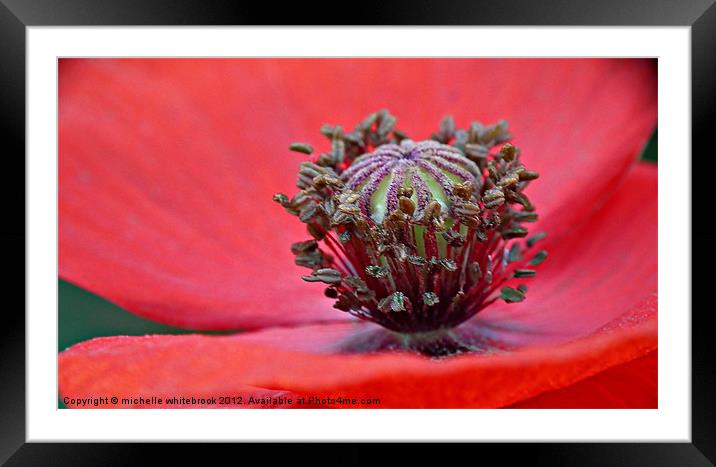 Soft poppy Framed Mounted Print by michelle whitebrook