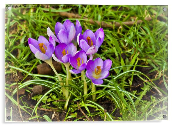 Spring Flowers Acrylic by Trevor Kersley RIP