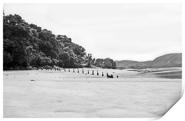 The silver sands of Morar Print by jane dickie