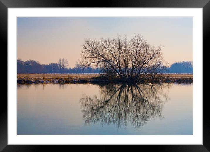 Reflection Framed Mounted Print by Malcolm Smith