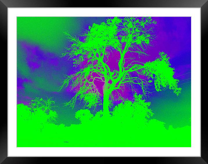 Green Tree Framed Mounted Print by Andrea Hutchison