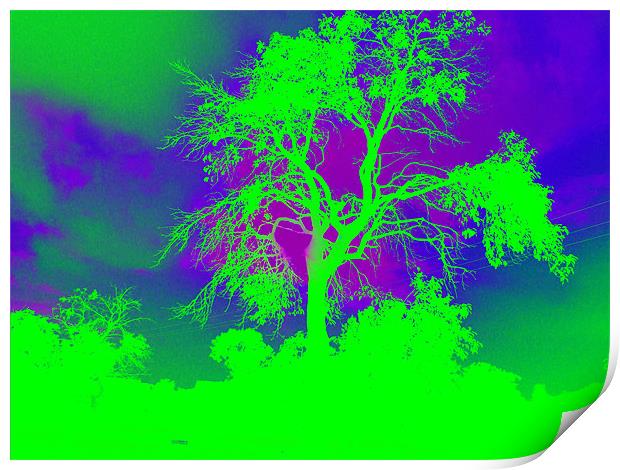 Green Tree Print by Andrea Hutchison