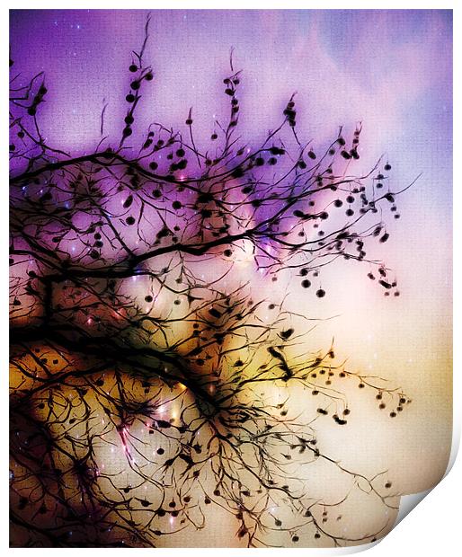 tree in the park with stars Print by Andrea Hutchison