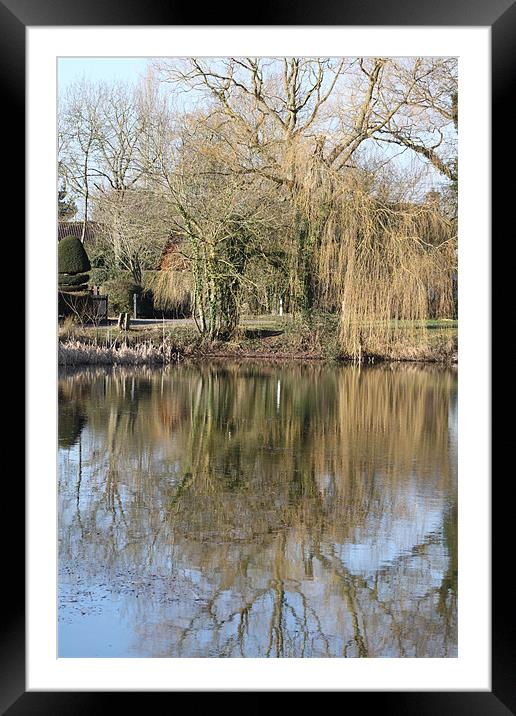Reflection Framed Mounted Print by mark philpott