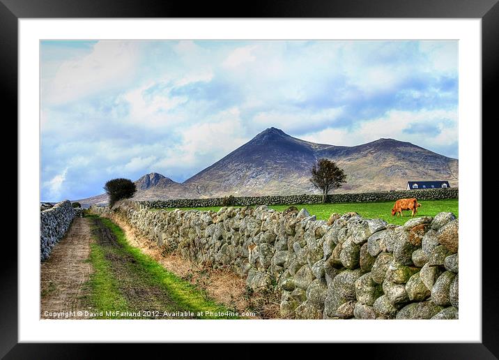 Mourne Mountain Farming Framed Mounted Print by David McFarland