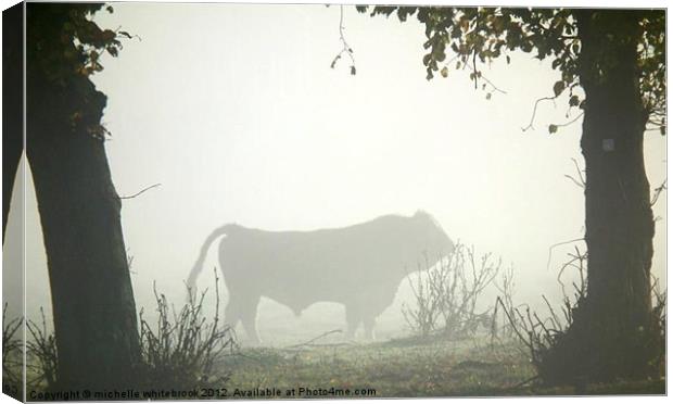 Misty bull Canvas Print by michelle whitebrook